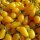 Tomato Yellow Pear (Solanum lycopersicum) organic seeds