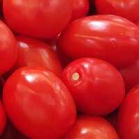 Roma Tomato (Solanum lycopersicum) seeds