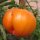 Pineapple Tomato (Solanum lycopersicum) organic seeds