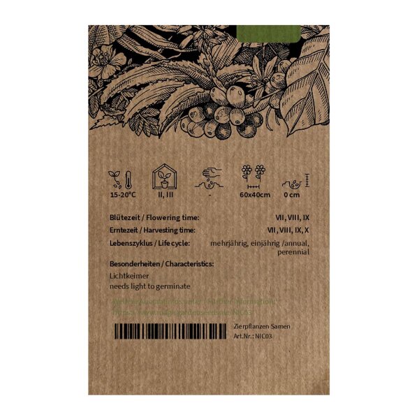Virginia Tobacco 'Virginia Gold' (Nicotiana tabacum) seeds