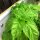 Lettuce Leaf Basil (Ocimum basilicum) seeds