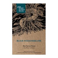 Blue Passion Flower (Passiflora caerulea) seeds