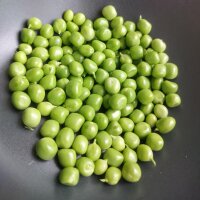 Dwarf Pea Kleine Rheinländerin (Pisum sativum) seeds