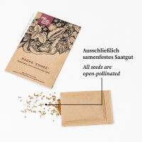 Meadow Sage (Salvia pratensis) seeds