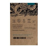 Caltrops (Tribulus terrestris) seeds