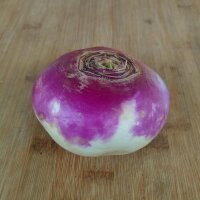 Autumn Turnip Bicolor (Brassica Rapa Ssp. Rapa) Organic seeds