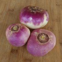 Autumn Turnip Bicolor (Brassica Rapa Ssp. Rapa) Organic...