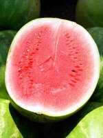 Watermelon Crimson Sweet (Citrullus lanatus)