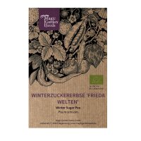 Winter Sugar Pea Frieda Welten (Pisum sativum) organic seeds