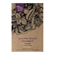 Yellow Zucchini Yellow Crookneck (Cucurbita pepo) seeds