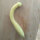 Yellow Zucchini Yellow Crookneck (Cucurbita pepo) seeds