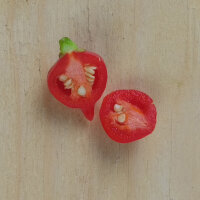 Chilli Pepper Biquinho (Capsicum chinense) seeds