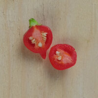 Chilli Pepper Biquinho (Capsicum chinense) seeds