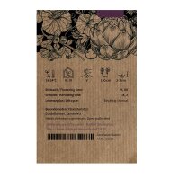 Squash Buttercup (Cucurbita maxima)  seeds