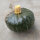 Squash Buttercup (Cucurbita maxima)  seeds