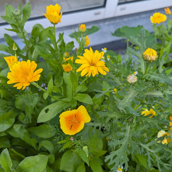Yellow Flower Bouquet
