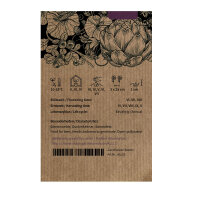 Onion De Barletta (Allium cepa) seeds