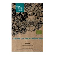 Cosmos (Cosmos bipinnatus) organic seeds