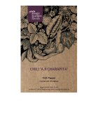 Chilli Pepper Aji Charapita  (Capsicum chinense) seeds