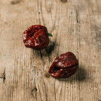 Chilli Pepper Trinidad Scorpion Chocolate (Capsicum...