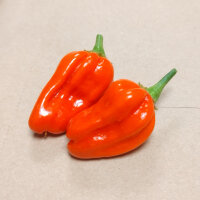 Chilli Pepper NuMex Suave Orange (Capsicum chinense) seeds