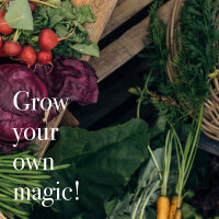 Vegetables for Raised Beds - 10 open pollinated varieties - easy & high-yielding - Beginner seed kit