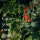 Tomatoes & Friends - 10 open pollinated Tomato & Herb varieties - colourful & delicious - Beginner seed kit
