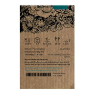 Chinese Forget Me Not (Cynoglossum amabile) seeds