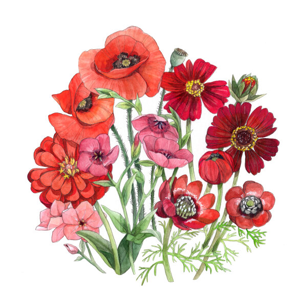 Red Summer Flowers