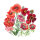Red Summer Flowers