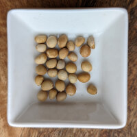 Elephant Creeper of India (Argyreia nervosa var. speciosa) seeds