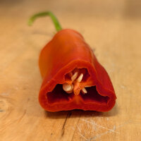 Chilli Pepper Aji Delight (Capsicum baccatum) organic seeds