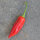 Chilli Pepper Aji Delight (Capsicum baccatum) organic seeds