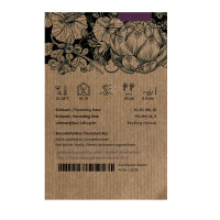 Beefsteak Tomato Siberian Tiger (Solanum lycopersicum) seeds