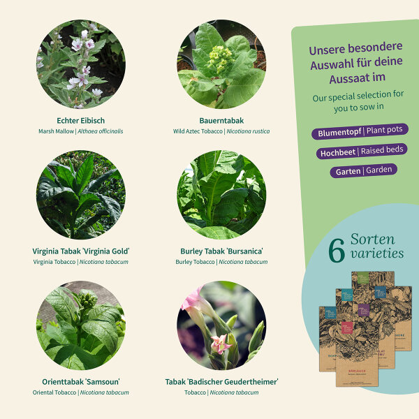 tobacco seed varieties Tobacco Variety – Seed Kit Gift for Self-Sufficiency Fans