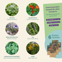 Edible Flowers: a touch of floral magic for salads &...