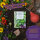 Edible Flowers: a touch of floral magic for salads & desserts – Seed kit No.12