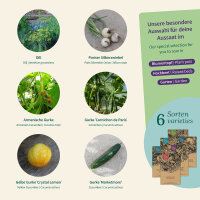 Cool Cucumbers: four varieties with pickle pairings...