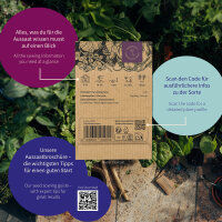 Cool Cucumbers: four varieties with pickle pairings – Seed kit No.15