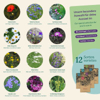 Flower Meadow: Wildflowers for gardens, balconies &...