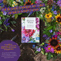 Flower Meadow: Wildflowers for gardens, balconies & bees - Seed kit No.28