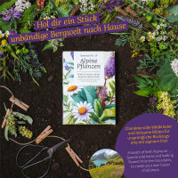 Alpine Plants – herbs & flowers from the mountains – Seed kit No.31