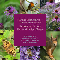 Monastery Garden: rediscover medieval vegetables and herbs – Seed kit No. 22