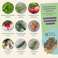 Garden Vegetables all through the gardening year –...