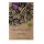 Italian Cherry Tomato Ciliegia (Solanum lycopersicum) organic seeds