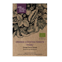Orange Cherry Tomato Figiel (Solanum lycopersicum)...