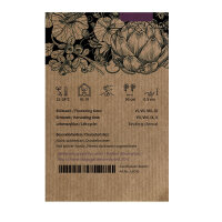 Yellow-purple Cocktail Tomato Indigo Pear Drops (Solanum...