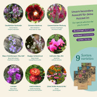 Flower Nostalgia, old-world cottage garden style –...