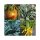 Old Historical Vegetable Varieties (Organic) - seed kit