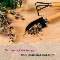 Barbecue herbs - seed kit